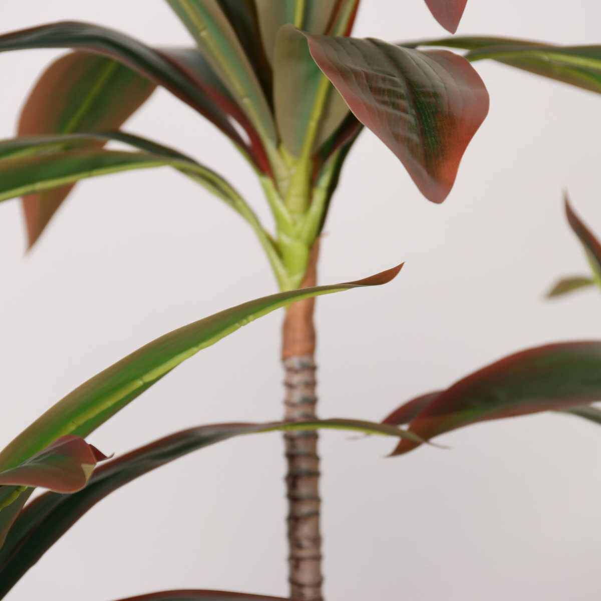 新款仿真绿植仿真红色巴西木巴西铁富贵叶仿真植物造景盆栽
