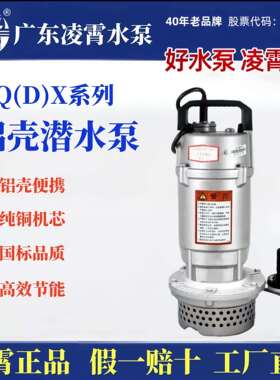 广东凌霄QDX便携抽水泵农用灌溉泵家用型园林造雾水泵农用便携