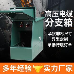 10KV高压电缆分支箱DFW 630A分支箱一进一出二出三出分接箱厂