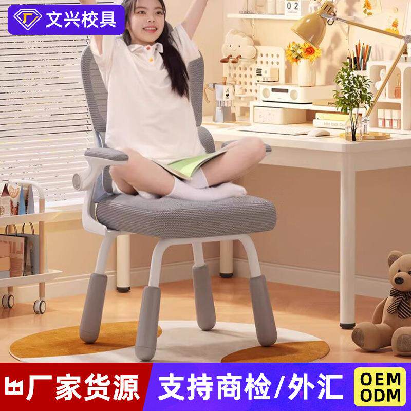 儿童写字椅家用青少年书桌书房椅可升降学习坐椅四平八稳靠背椅子