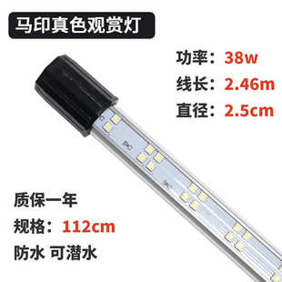 水草神灯防色灯灯增艳水族观赏灯龙真专用印专用灯鱼水灯鱼缸马