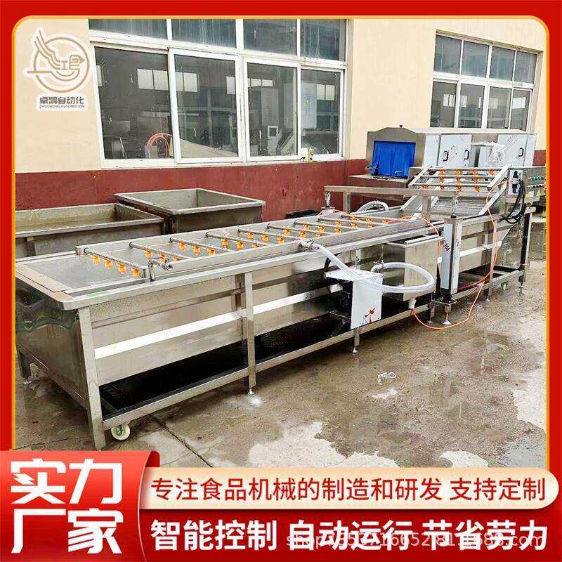 厂家直销连续式小黄姜清洗风干线大型杏鲍菇清洗机商用黄精清洗机