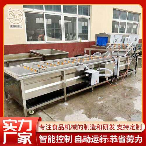 厂家直销连续式小黄姜清洗风干线大型杏鲍菇清洗机商用黄精清洗机