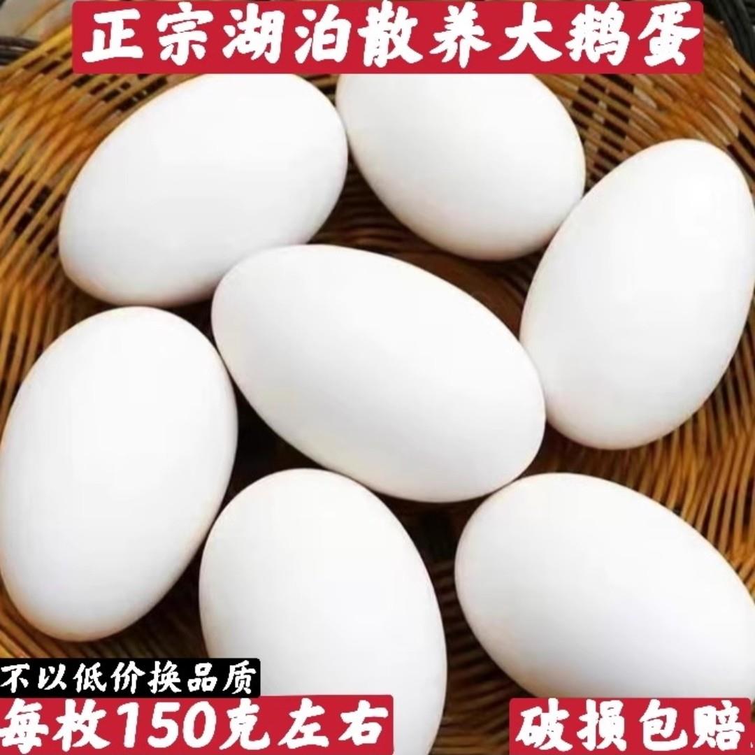 农家散养鹅蛋正宗新鲜土鹅蛋孕妇去胎毒超大鹅蛋12枚140-150克/个