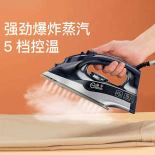 干湿两用烫衣服熨烫机厂一件批发 电熨斗家用小型蒸汽烫斗手持老式