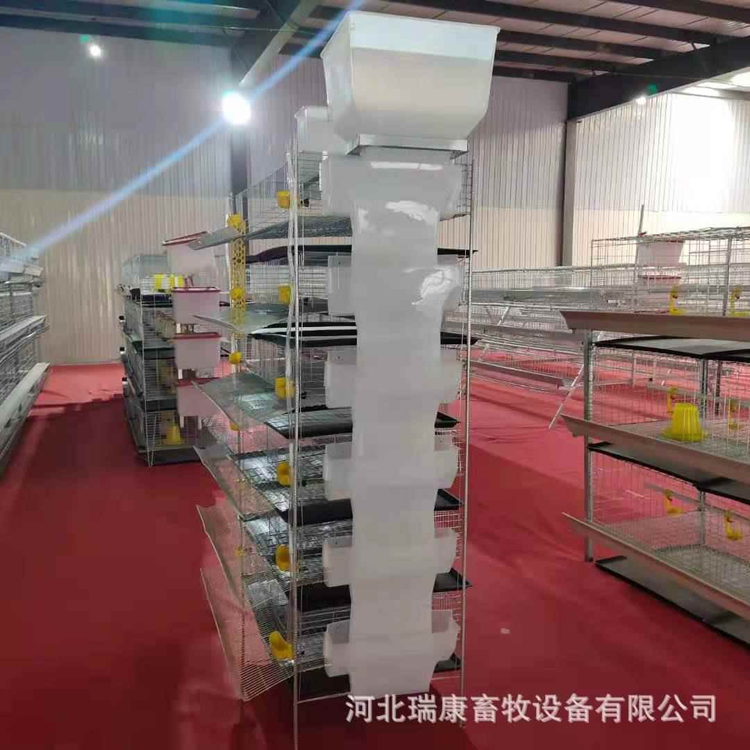 鹌鹑殖笼立LYE体焊6层锌镀丝接鹌鹑养笼育雏笼H型立体式连体育雏