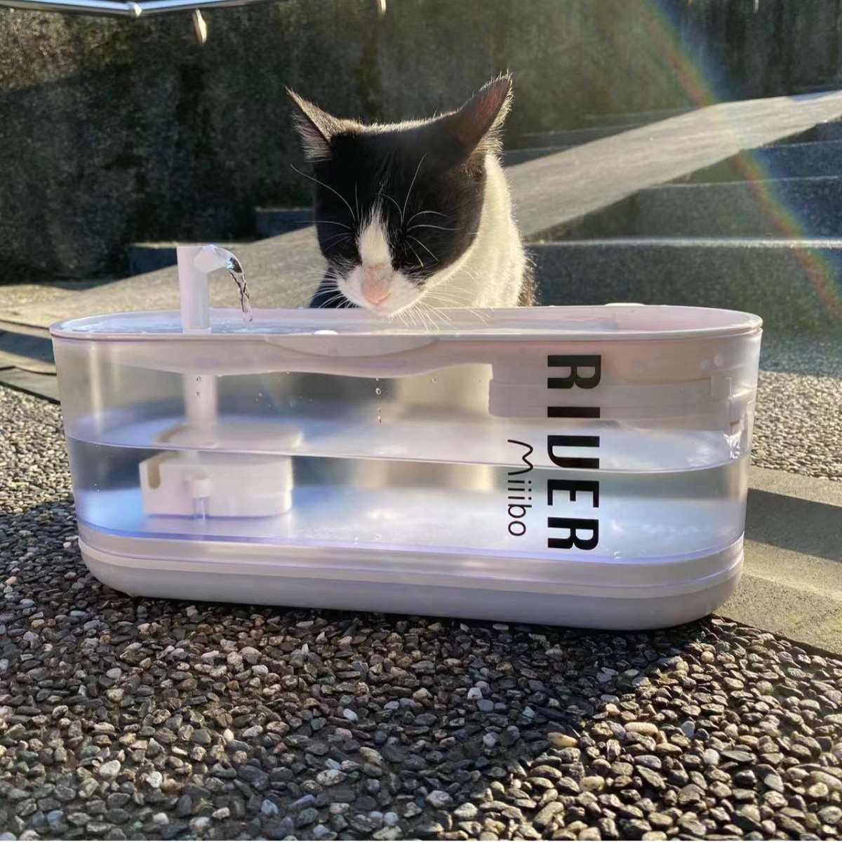 miiibo小河猫咪饮水机子自动循环过滤流动水宠物喝水器狗狗水盆,宠物/宠物食品及用品,猫狗碗/慢食碗,淘宝优惠券,粉丝福利购,淘宝优惠卷