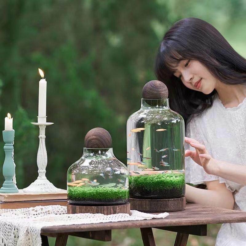 微景观生态瓶玻璃鱼缸创意DIY造景鱼虾水草缸日式木托桌面办公室,宠物/宠物食品及用品,桌面缸,淘宝优惠券,粉丝福利购,淘宝优惠卷