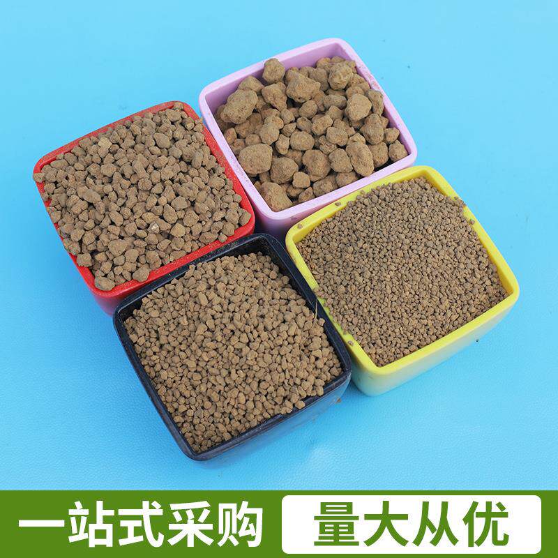 硬二本线赤玉土兰多花肉盆景种植铺YFR面含土不质运费