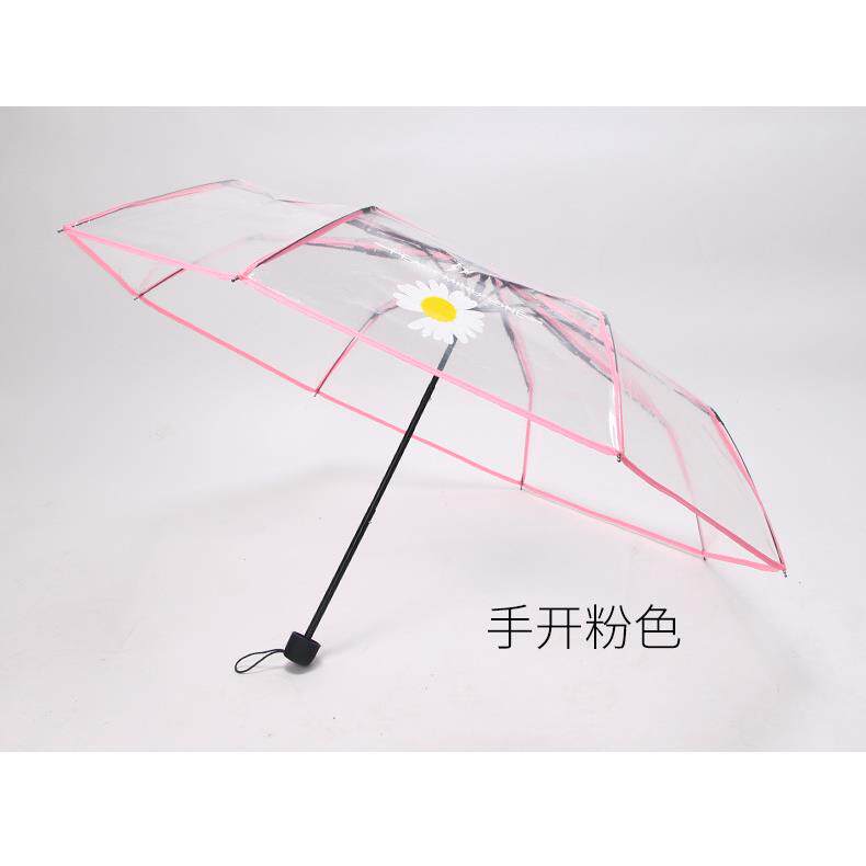 正品小雏全动网红透明雨伞 折叠日本自小清神新菊森系ins美少女学