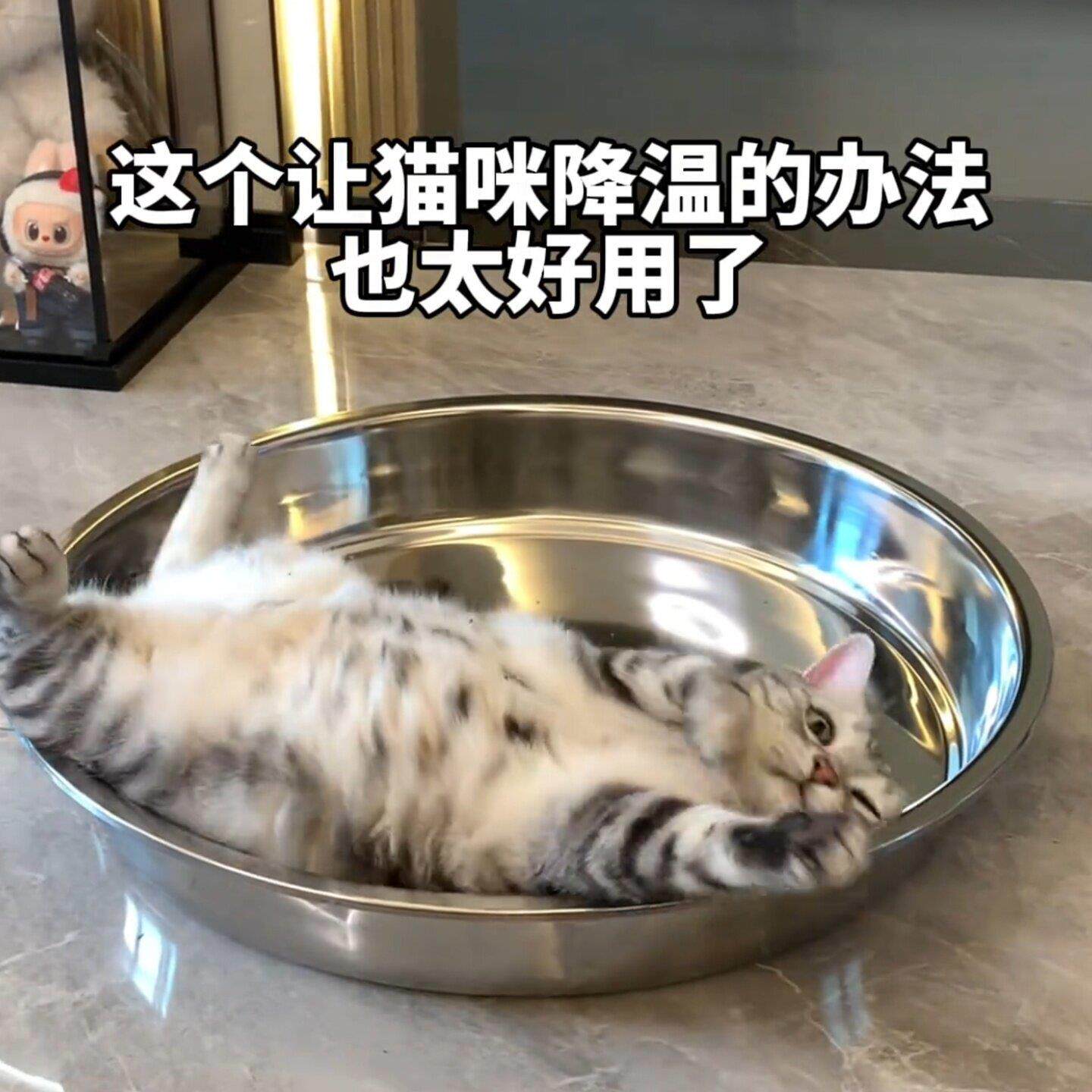 冰垫防猫抓宠物凉垫降温用品夏天圆形凉感猫窝家用可清洗懒人狗窝