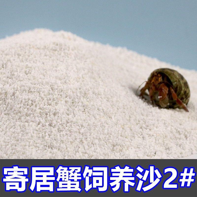 天然菲律宾沙寄居蟹用品乌龟鱼缸底砂白沙三号砂3号沙寄居蟹底沙