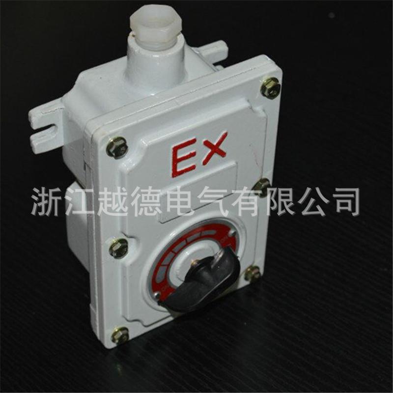 防爆吊扇调速开关 工业调速器 风扇开关BFC防爆摇头扇调速器