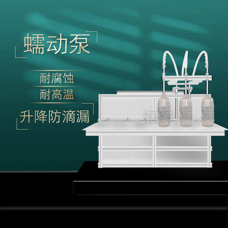 精密蠕动泵液体灌装机84消毒食用油洗衣液液体肥悬浮剂口服液机油