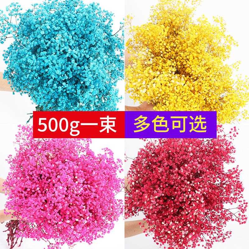 新款直销永生花满天星500g彩色大头满天星情人节520礼物满天星干