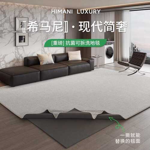 可擦地新款式卧室客厅可拆洗机两层免洗垫意茶几沙发家用可地毯洗