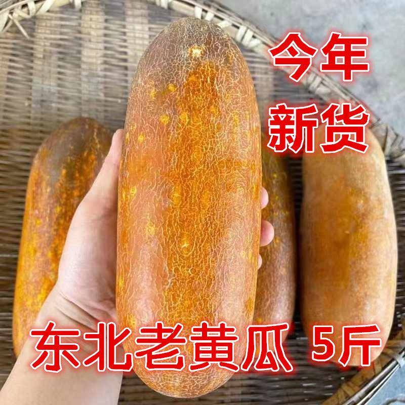 东北特产老黄瓜农家自种新鲜蔬菜炖汤凉菜麻皮农产品一件5斤包邮