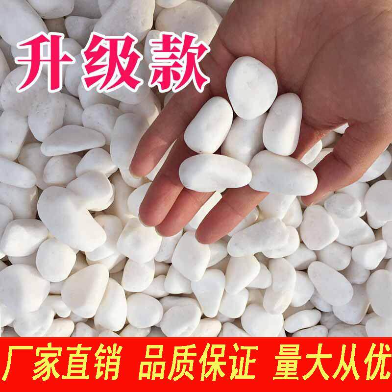 新疆白石子大鹅卵石庭院铺路铺地小白石头造景景观白石子白色砾石