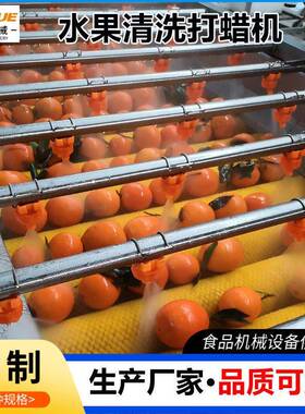 厂家直供黄桃清洗机全自动水果清洗打蜡机分级机橘子沃柑洗果机