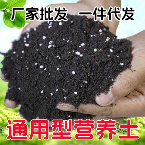 营养通用松针种菜专用栽培基质