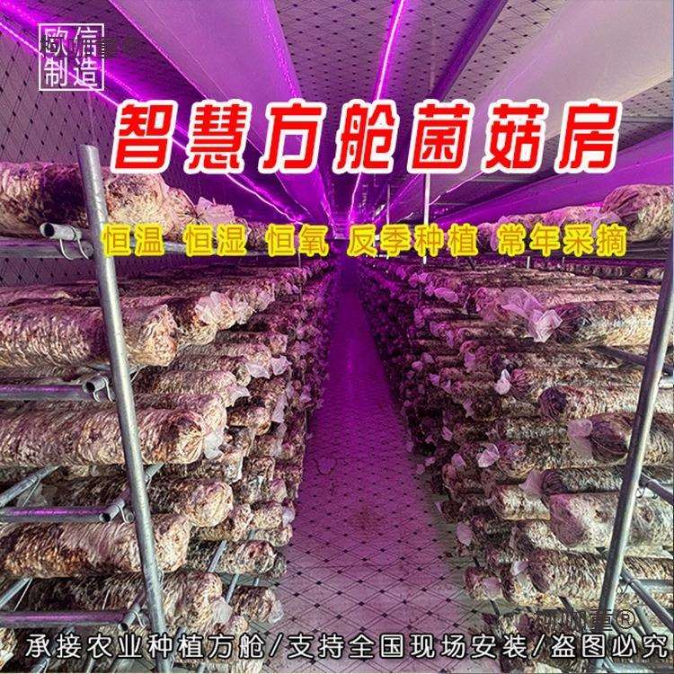 智能化控制食用菌种植云舱智慧方舱蘑菇房温室大棚菌菇养殖麦太保