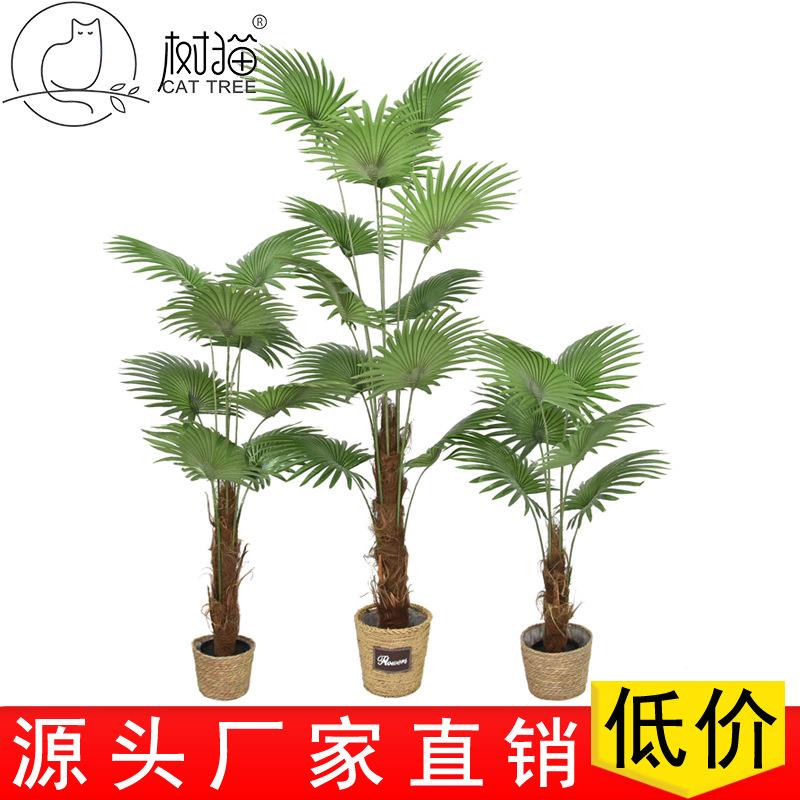 仿真绿植180cm扇葵树盆栽大型植物摆件室内造景装饰带椰壳蒲葵树