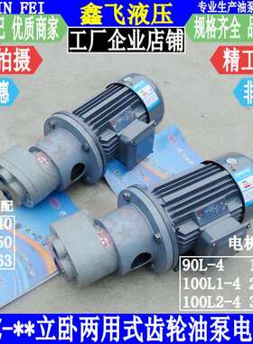 LWBZ-CB-B40 B50 B63 JZ齿轮油泵电机组装置YE2-L00L1-4 2.2KW