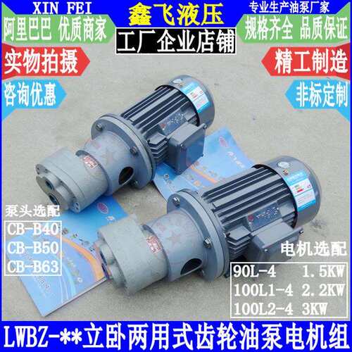 LWBZ-CB-B40 B50 B63 JZ齿轮油泵电机组装置YE2-L00L1-4 2.2KW