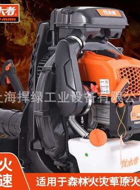 伐木者FM850背负式吹风机道路吹落叶吹灰尘机森林灭火机