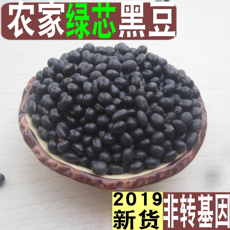 新货黑豆农家自产非转基因绿芯小黑豆豆浆五谷杂粮生黑小豆五斤装