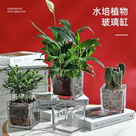 水养植物器皿乌龟缸摆件，插花透明花盆简约水培，正方形玻璃花瓶绿萝