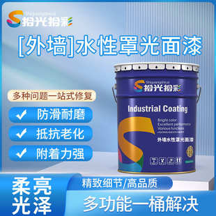 内墙涂料罩光面漆内墙防水有颜色涂料透明保护清漆防水内墙清漆