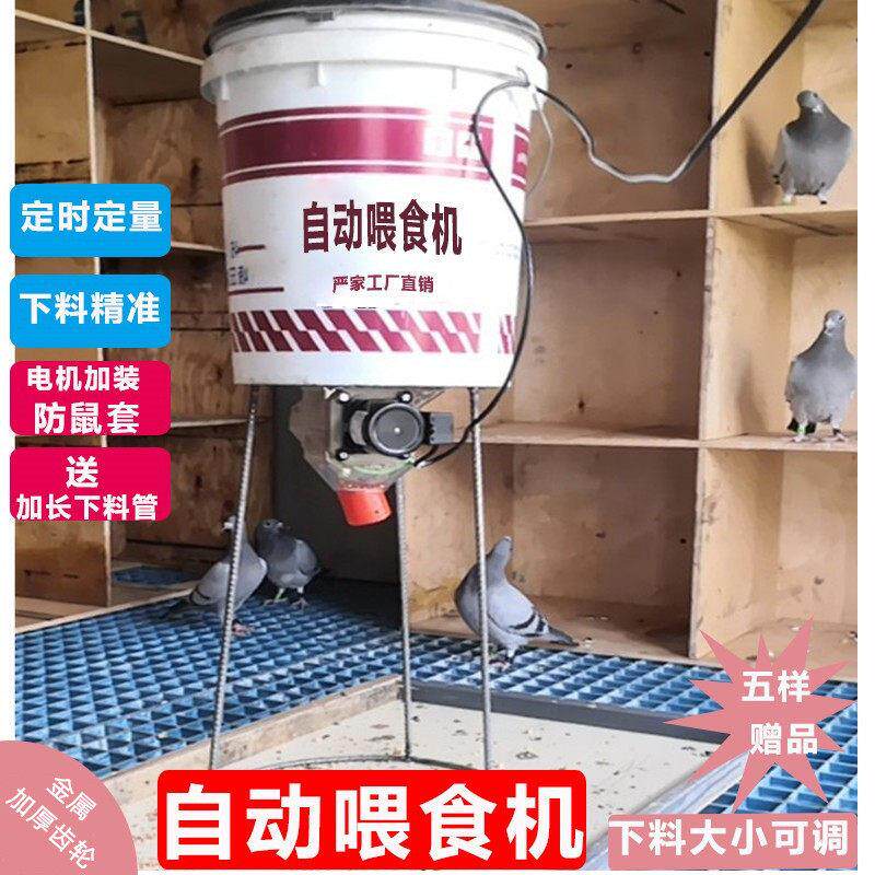 鸽子用品自动喂食器信鸽自动食槽喂食机定时远程下料养鸡鸭鹅包邮