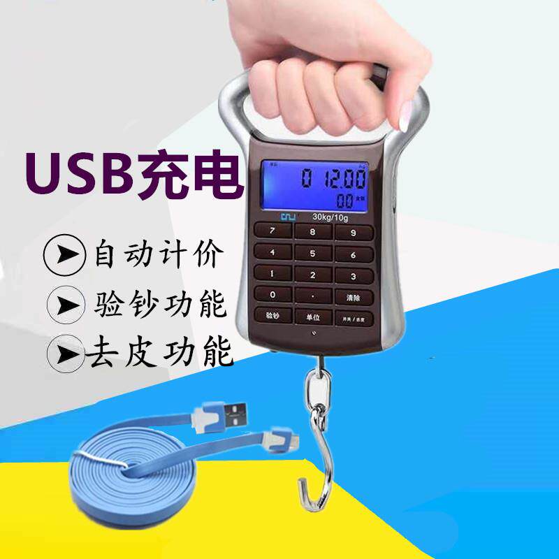 手提秤迷你可携式计价电子秤重家用买菜弹簧秤高精度弹簧称小秤