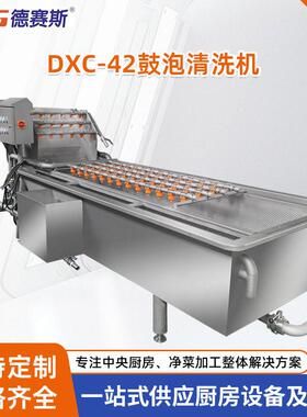 商用蔬菜气泡清洗机辣椒厂家产能果蔬鼓泡清洗设备产效