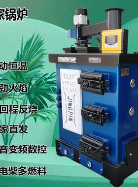 燃煤数控锅炉家用取暖炉燃煤锅炉地暖养殖大棚恒温水暖炉新式反烧