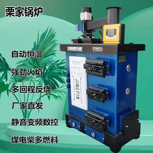 反烧 燃煤数控锅炉家用取暖炉燃煤锅炉地暖养殖大棚恒温水暖炉新式
