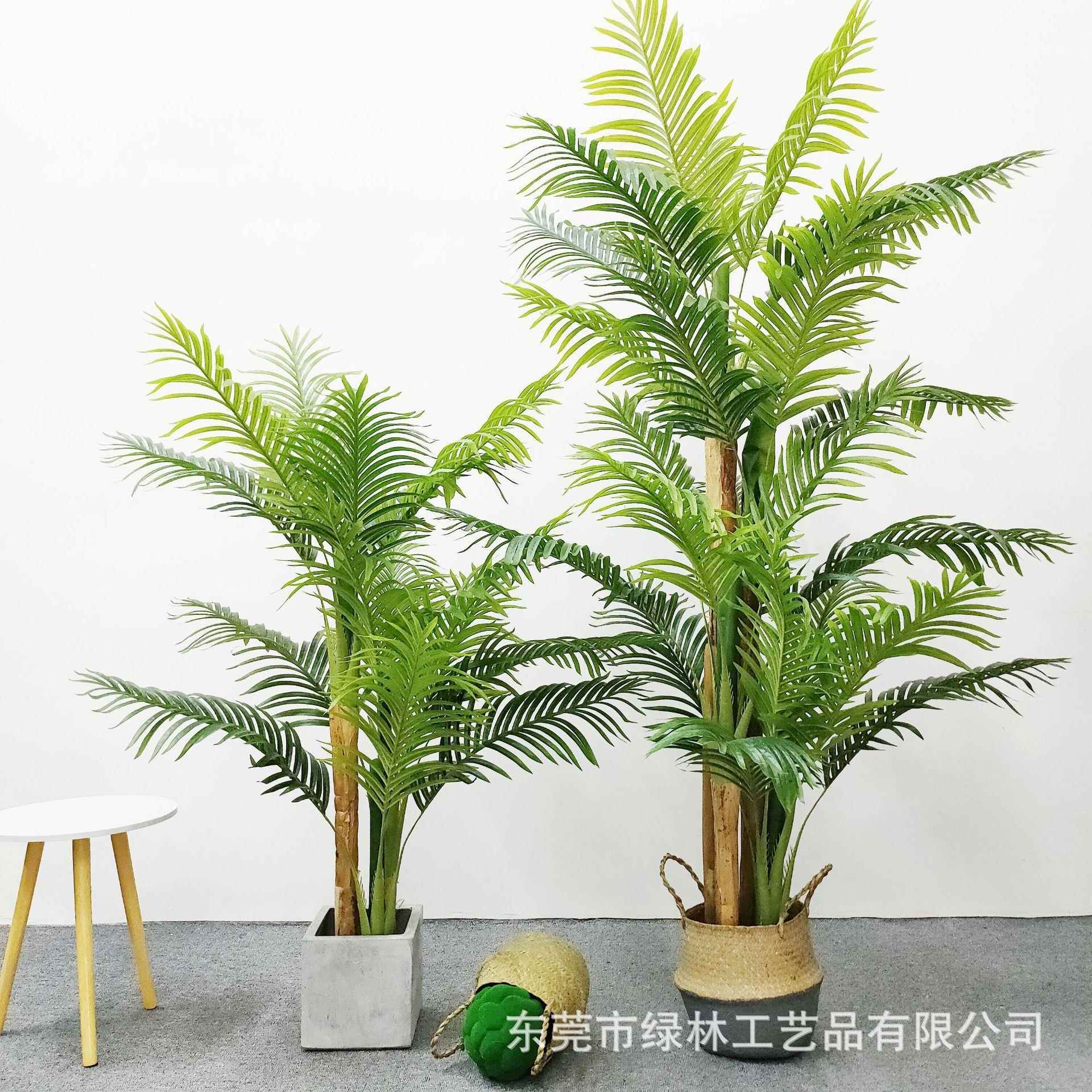 仿细真葵带皮葵天竺LL-34葵假绿植盆栽家居树装饰散尾葵凤尾葵树
