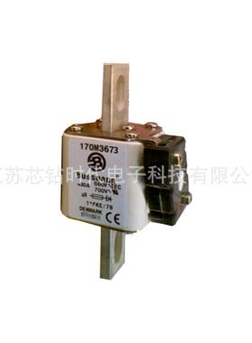 170M3667 170M3668 170M3669 巴斯曼BUSSMANN熔断器保险丝