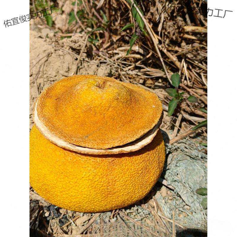 杂物茶装西双版纳柚子皮储物罐子装手工制作中国大陆韩式无其他
