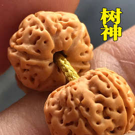 蜂窝树神小金刚菩提108颗佛珠手链男士女文玩菩提子手串项链5 6瓣