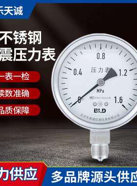 全不锈钢耐震压力表YTHN-100 0～40Bar 1.6级 3/8BSP 表头充硅油
