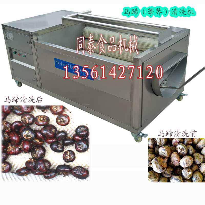 马蹄清洗机 荸荠洗泥毛刷机 全自动藠头土豆红薯清洗设备
