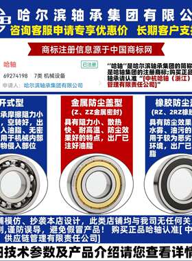 HRB 哈尔滨轴承 6216 6217 6218 6219 6220 -ZZ 2RZ