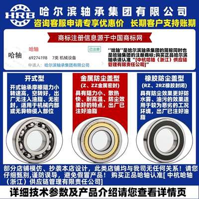 HRB 哈尔滨轴承 61913 -ZZ 2RZ