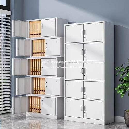 钢VIP制办公皮室层文件柜资料锁多抽屉铁带柜财务凭证柜书柜储物