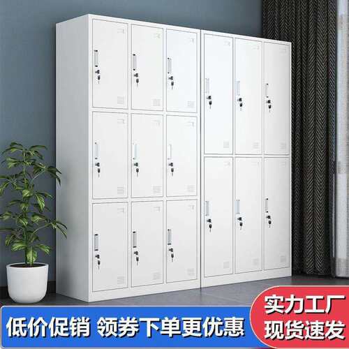 通双节铁皮文件柜办公室资料档案凭证柜带锁储物柜钢制书柜收纳柜