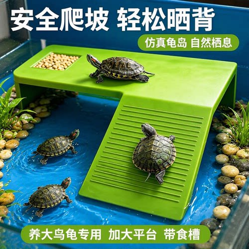 乌龟晒台乌龟缸爬梯支架加大平台养大龟专用大号安全爬坡躲避栖息