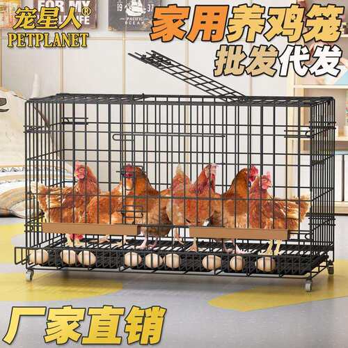蛋鸡笼家用大号养殖笼鸭笼鹅笼鹌鹑笼带蛋托鸡笼带轮狗笼子