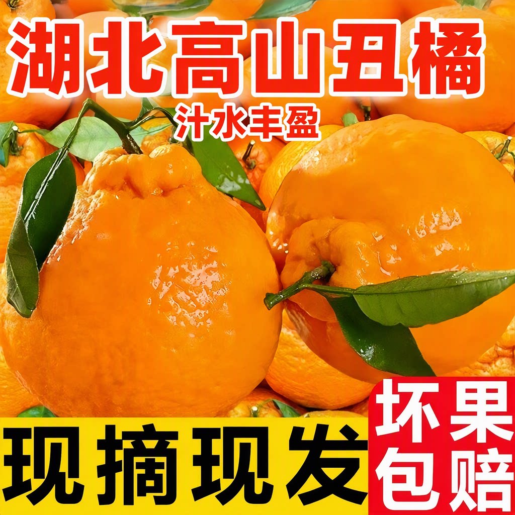 湖北高山丑橘丑八怪橘子柑橘当季新鲜现摘整箱汁水丰盈坏果包赔